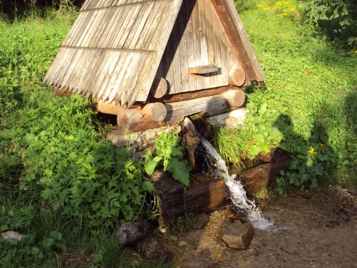 Obrázok