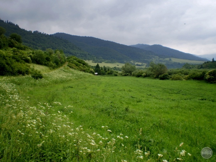 Nad Tichým Potokom