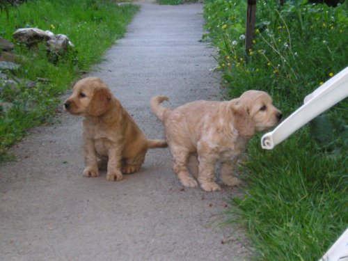 a toto su dalsie :)
