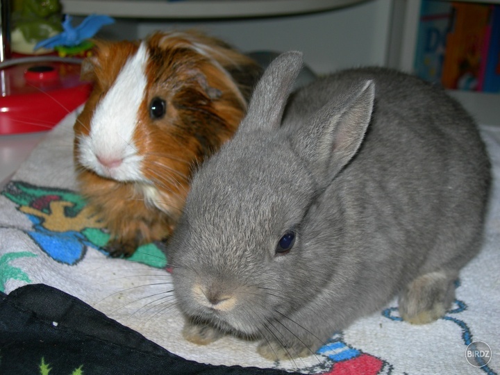 Max a Lili :)