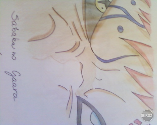 Gaara vs. Shukaku