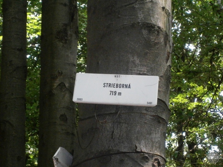 Strieborná :)