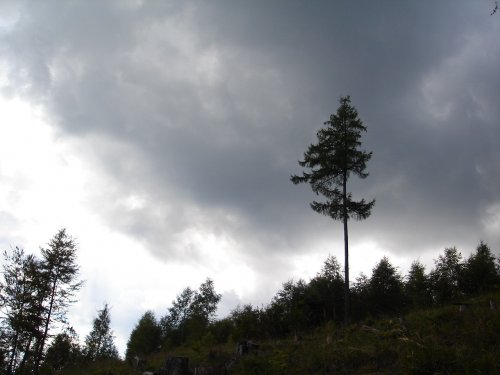 Obrázok