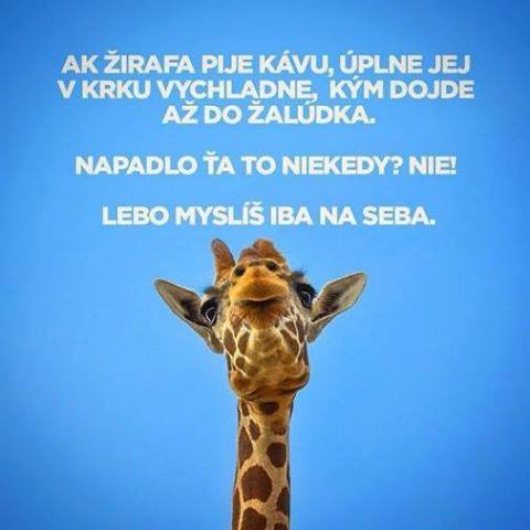Obrázok