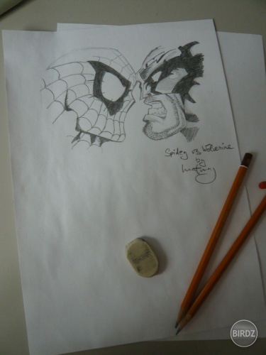 Spidey vs. Wolverine