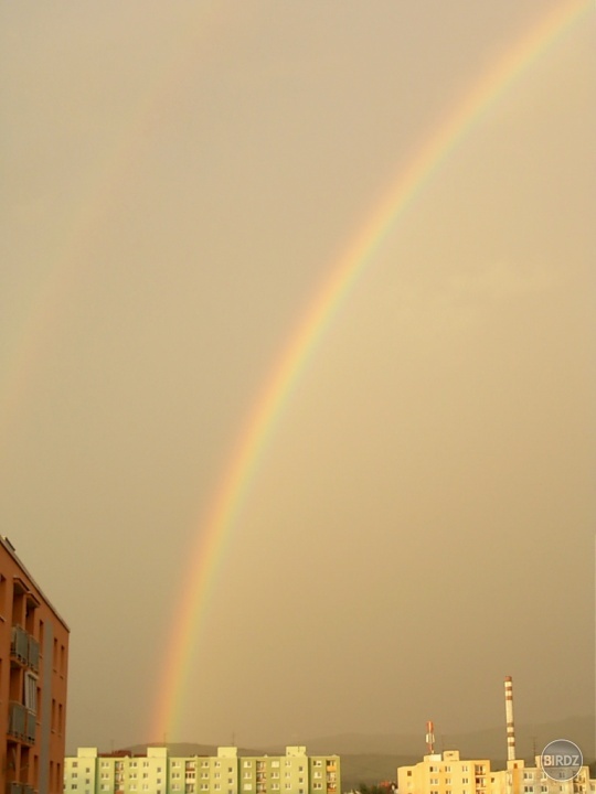 rainbow :).. 