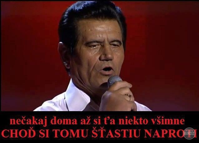 Moj hrdina , pán Patrovič