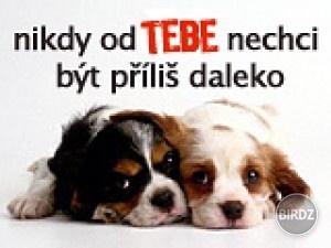 :D :D pravda...