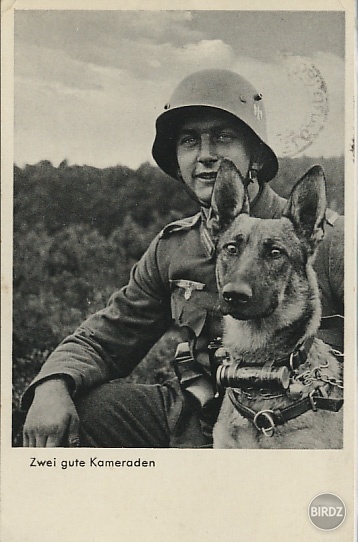 Obrázok