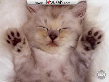 So sweet.....