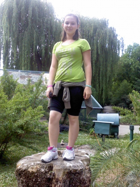 Miša