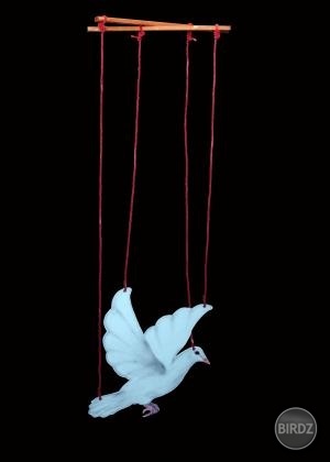 controlled freedom