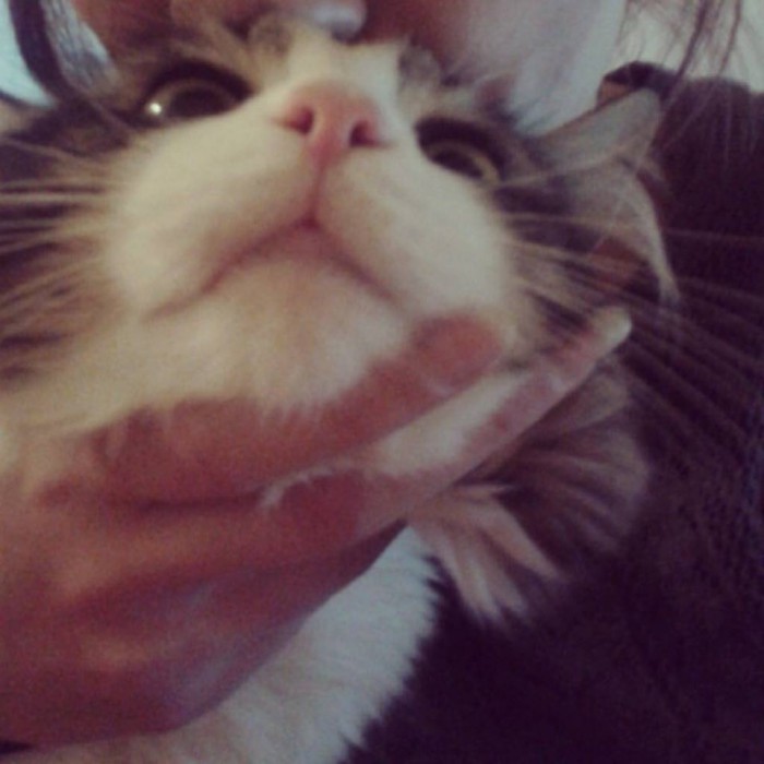 ja som mu tak chybala ♥ ♥ ♥