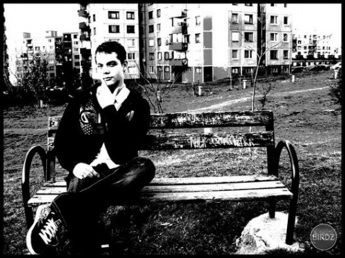sitting