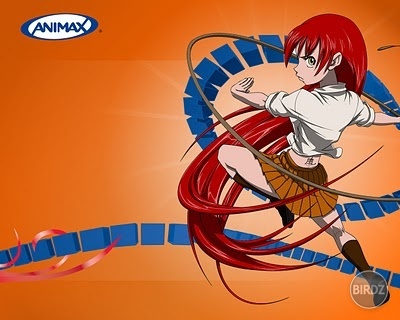 Animax 4