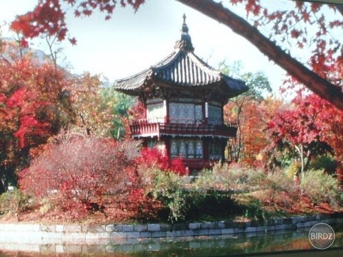 japonsko, to je len odfotený plagát pre vašu info