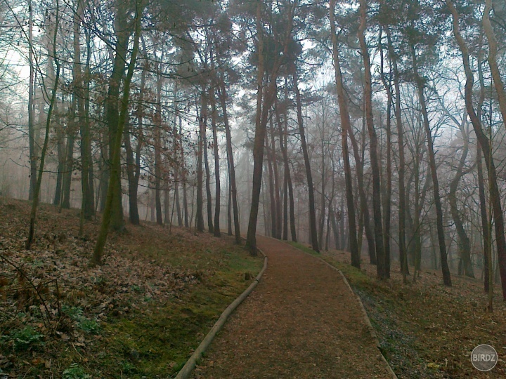 stezka