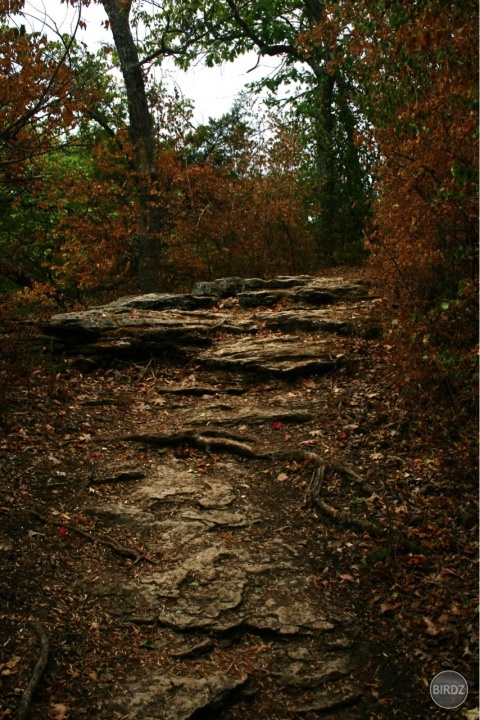Obrázok