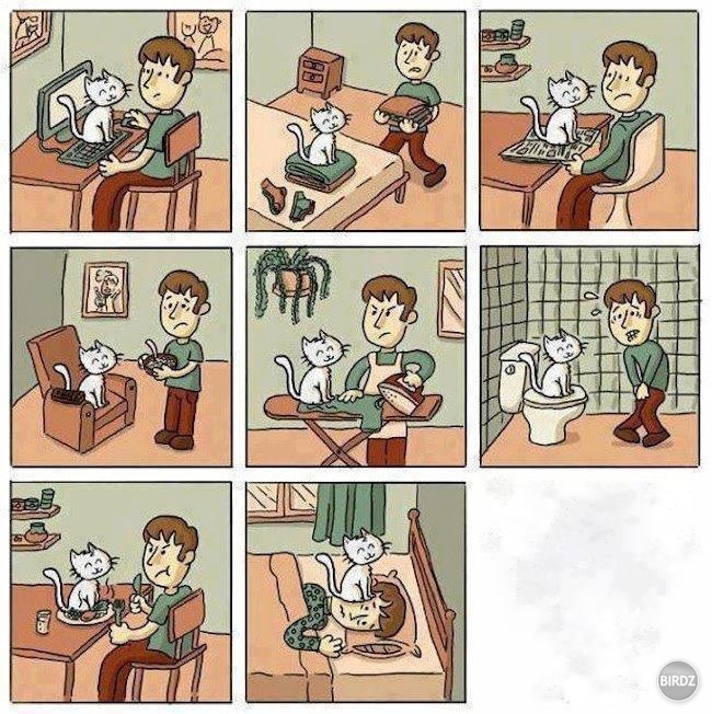 život s mačkou.... nie vždy tak celkom sranda :D