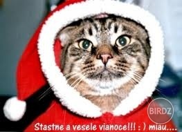 moja cica mnnaaauuu
