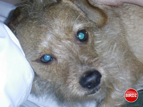 Eddie:)
