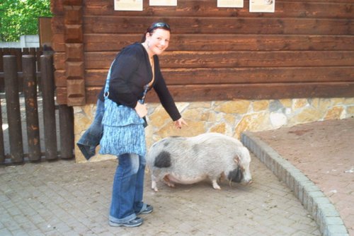 Vrana k vrane sedá