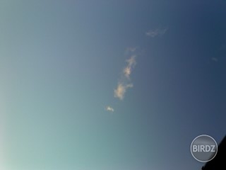 Oblačikové riasy:)))