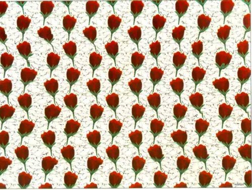 stereogram - srdiecko