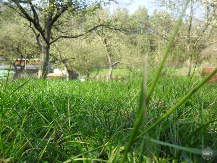 Obrázok