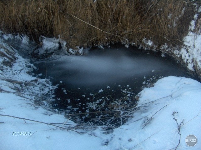 Obrázok