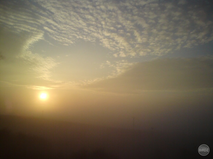 the sunrise:)...