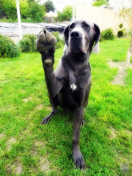 :)))