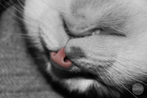 °°°