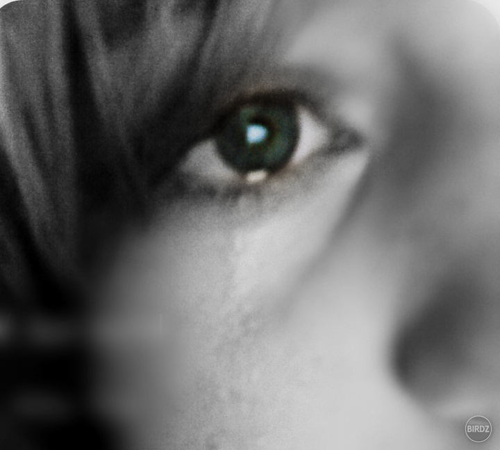 Look through my eyes...
what do you see? ...