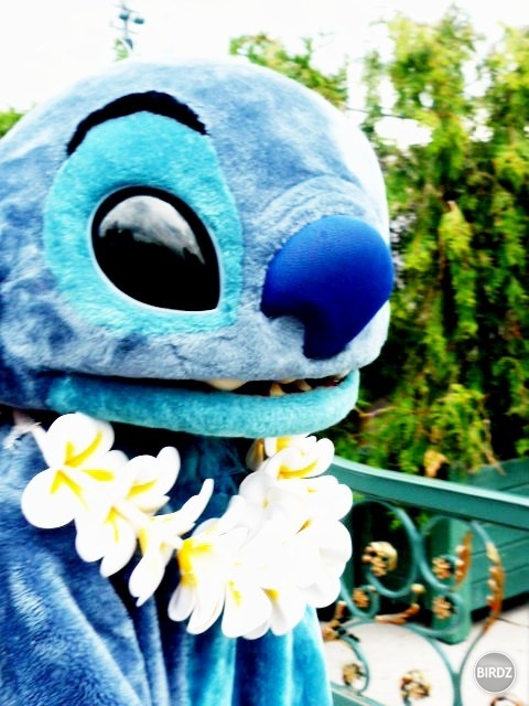Stich