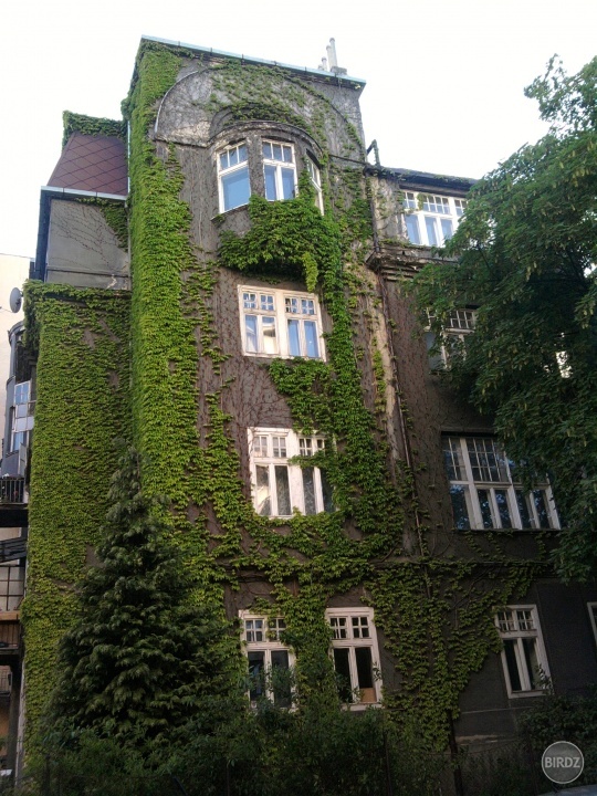 My dream house