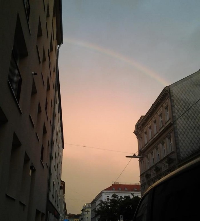 Dúhys.