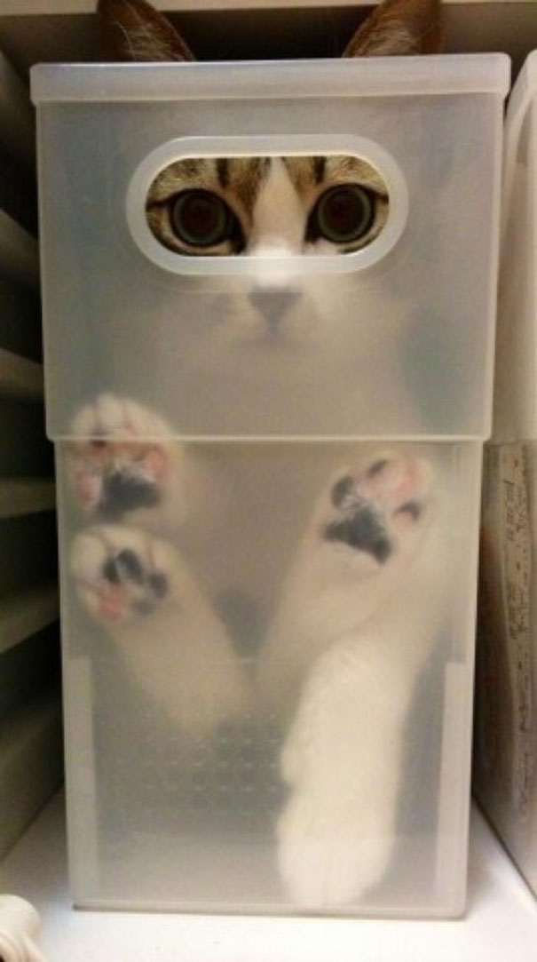 ^__^