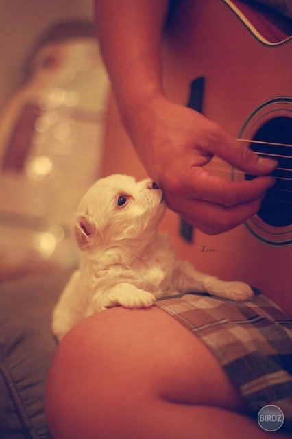 LeBo také BUdém Máť :*

ZLATUčké ňuuňuňuňuň :* :* :* :*
