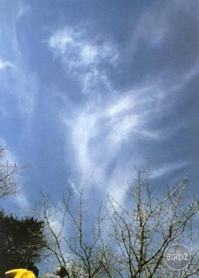 Ukrižovaný Ježiš sa javí v oblakoch v Medžugorií.
