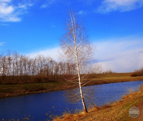 Obrázok