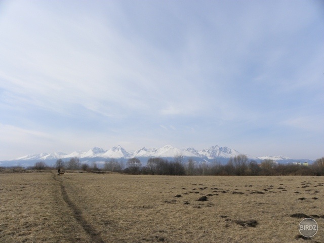 Tatra