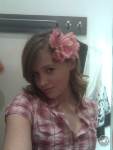 Hawaii vola