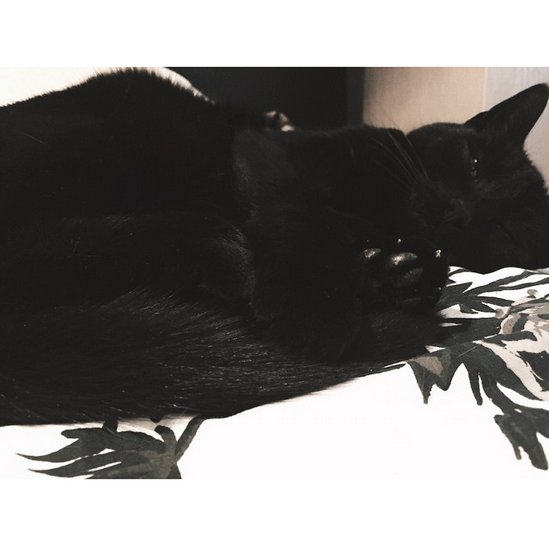 <3 :3