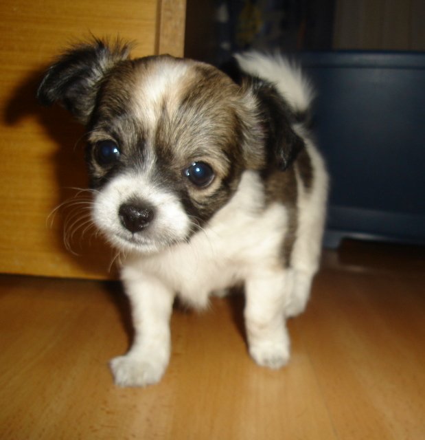 Moja Liluska :)