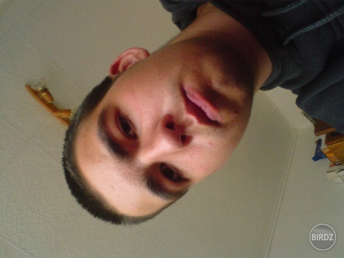 Obrázok