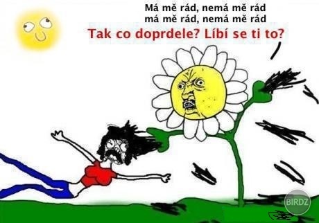 Obrázok