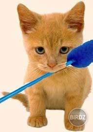 a šup do práce... achch :-(:D
