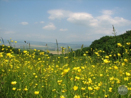 Obrázok
