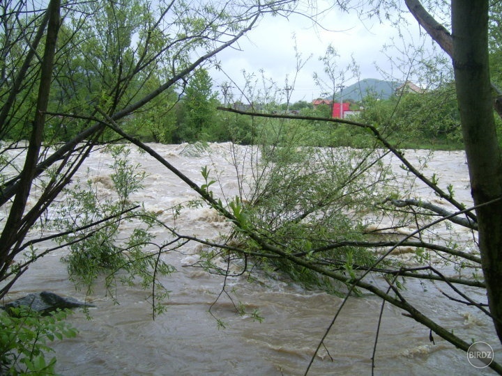 Obrázok